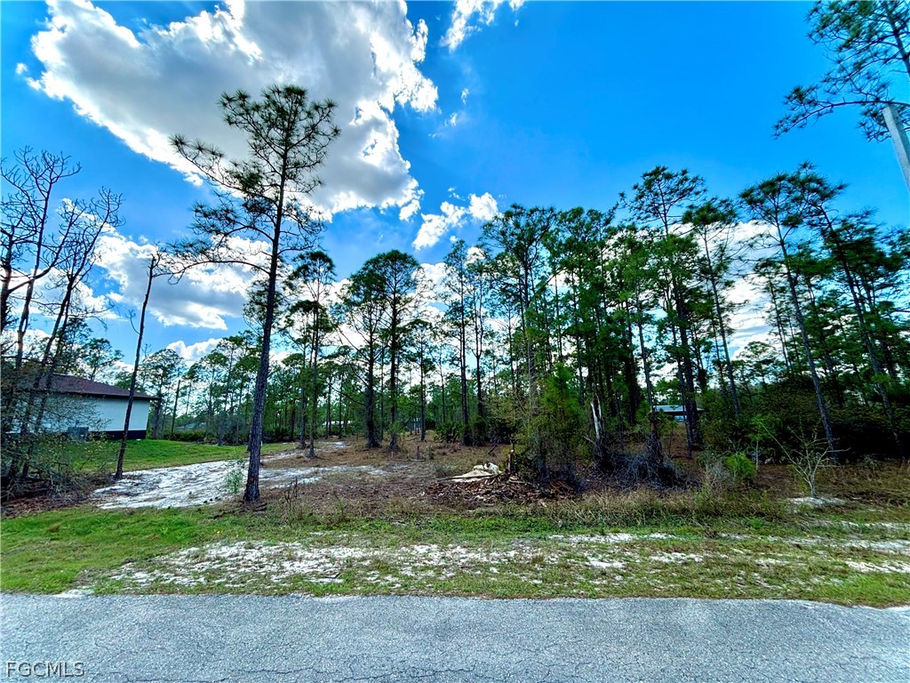 2309 Jackson Avenue Alva, FL 33920 - Photo 1 of 4 a view of a house with a yard