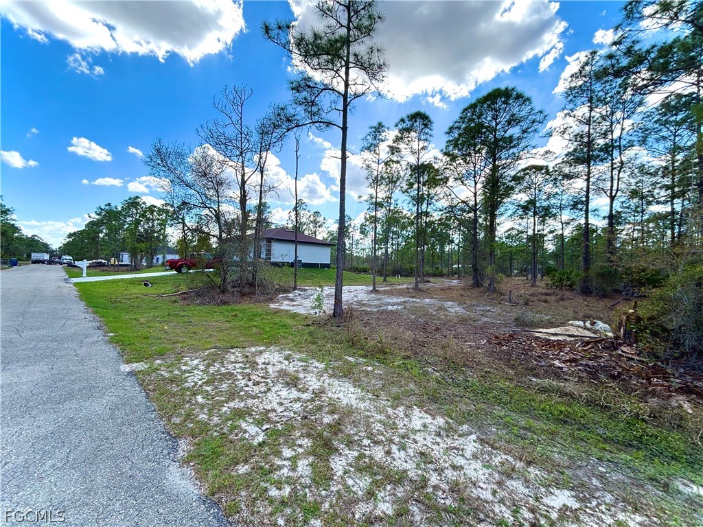 2309 Jackson Avenue Alva, FL 33920 - Photo 2 of 4 a view of a park with large trees