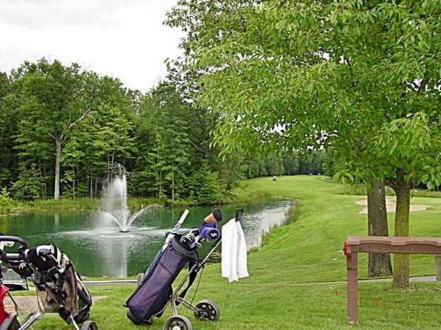 7222 Ryans Run Road Stanwood, MI 49346 - Photo 12 of 12 12 Royal 18th Hole