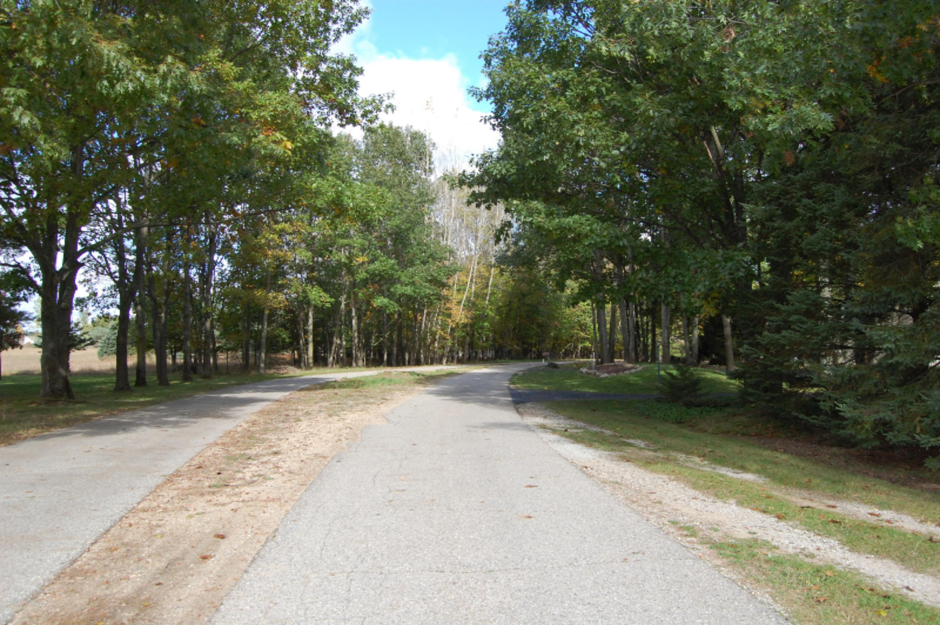 7222 Ryans Run Road Stanwood, MI 49346 - Photo 4 of 12 4 Access on Rivers Ridge