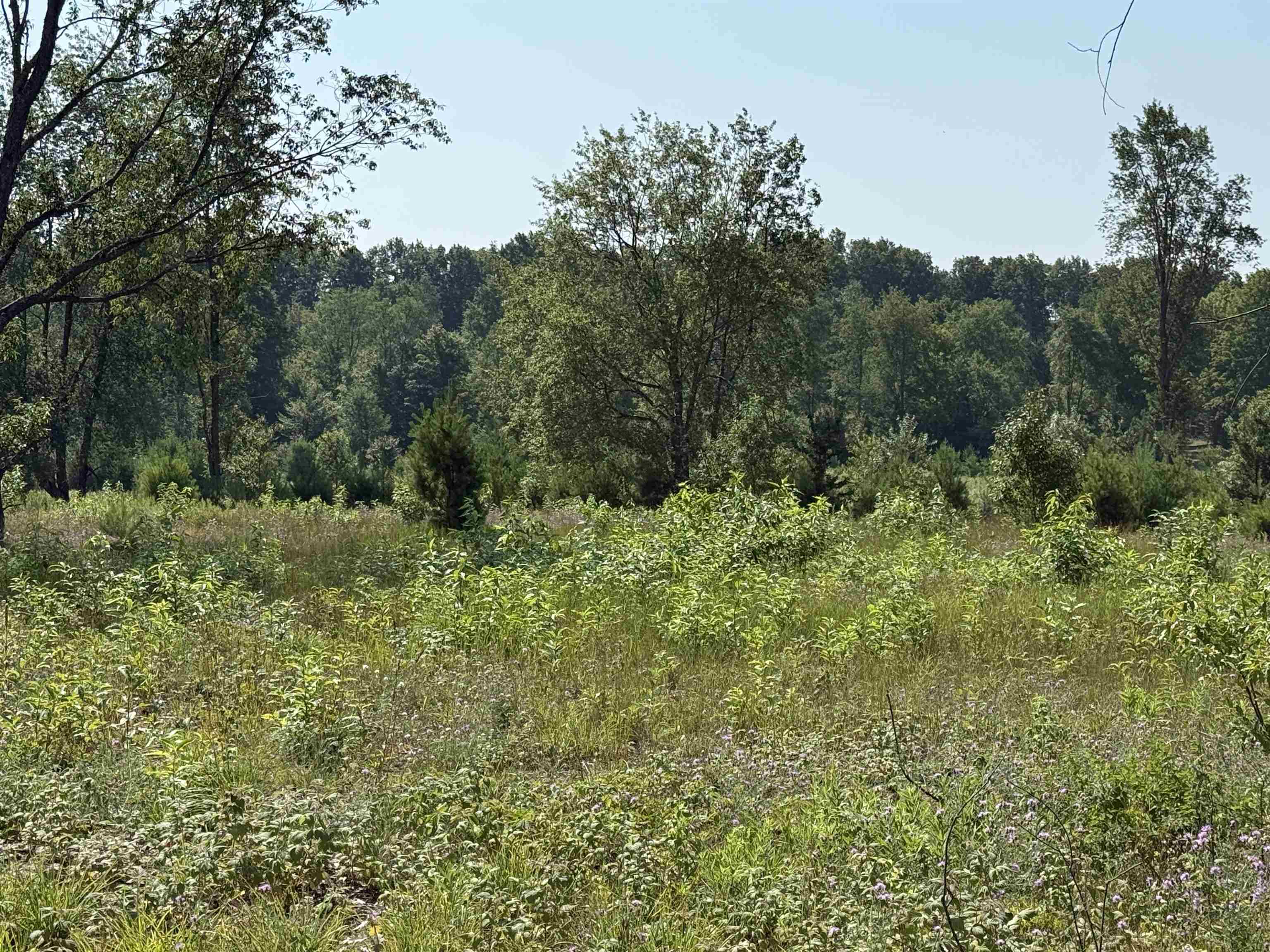 8 South Bright Road, Unit LOT: A8 Traverse City, MI 49684 - Photo 5 of 11