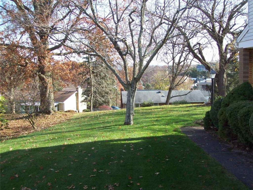 124 Herbst Road Coraopolis, PA 15108 - Photo 5 of 24 a big yard with large trees