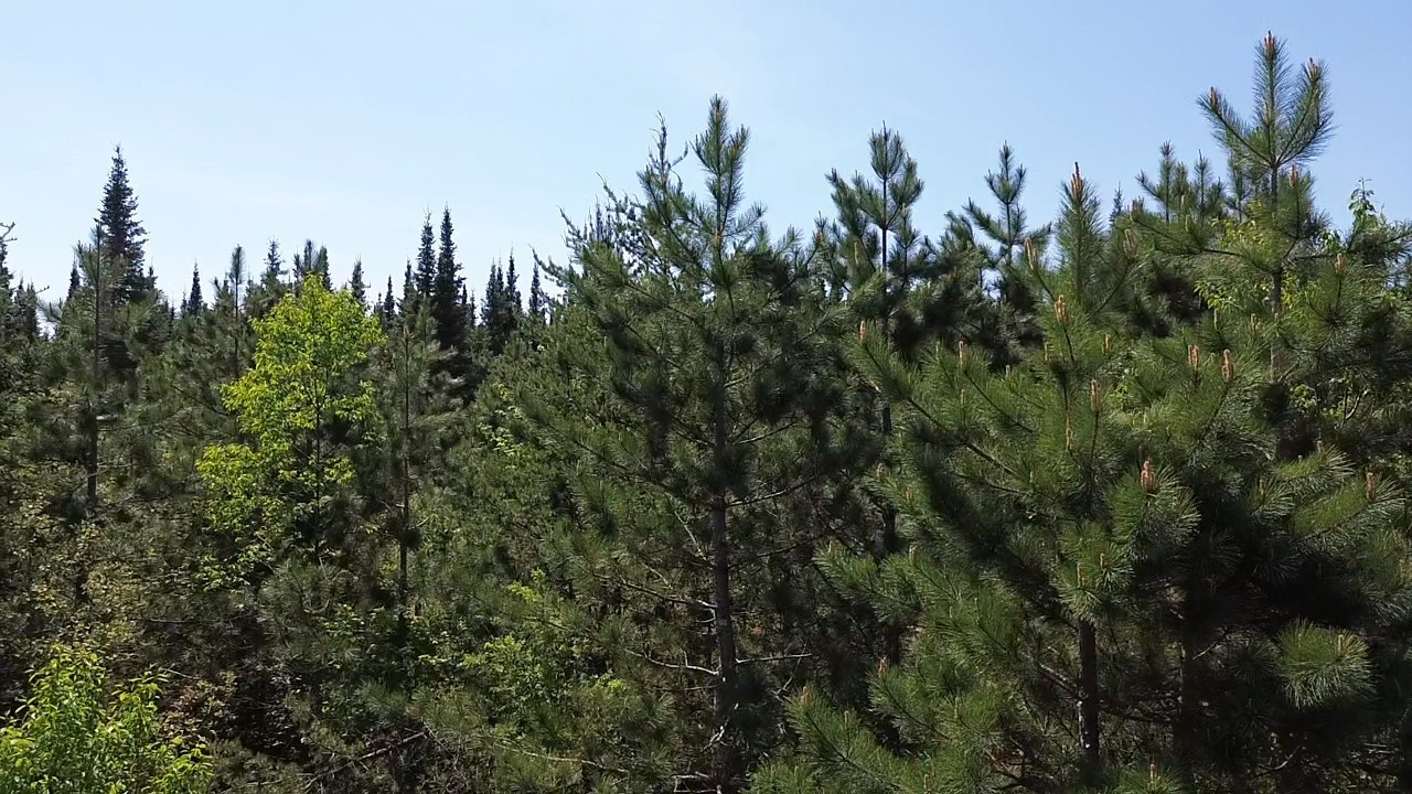 349 X 5th Avenue Shell Lake, WI 54871 - Photo 36 of 37
