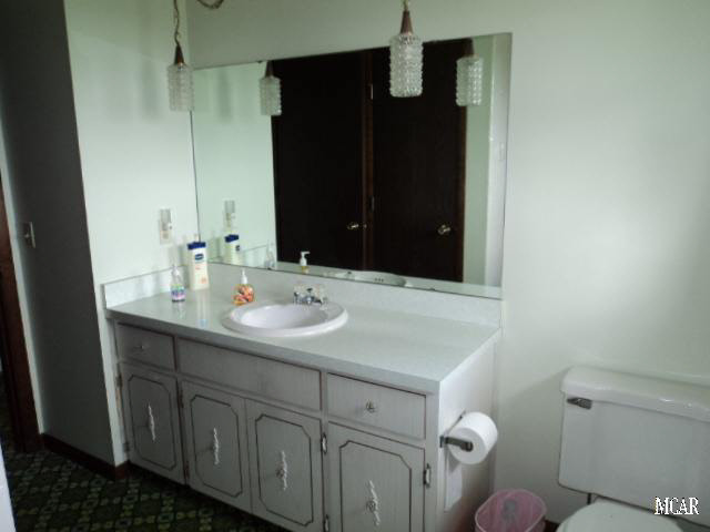 7262 Blue Bush Road Monroe, MI 48162 - Photo 15 of 20 Bathroom