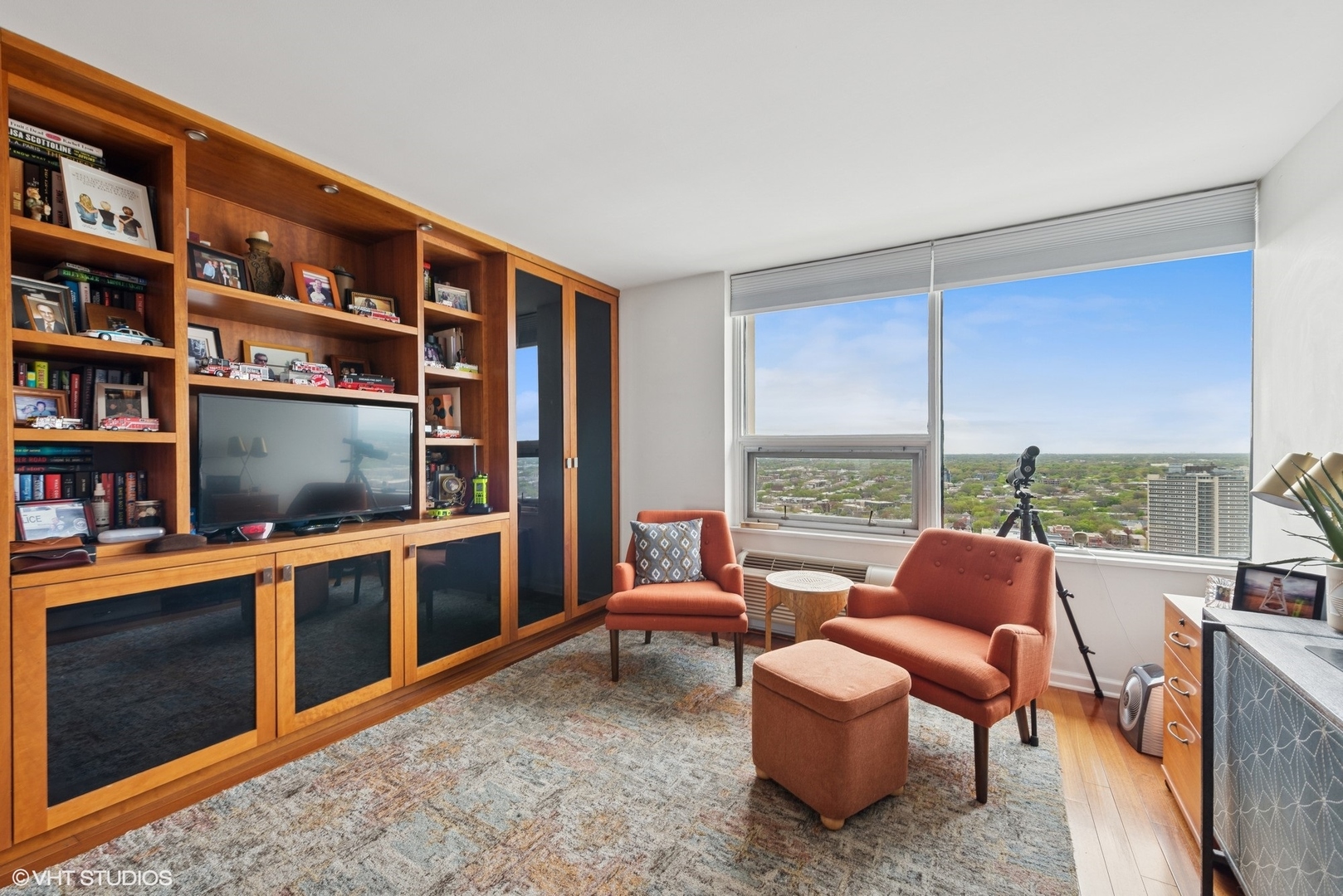5733 North Sheridan Road, Unit 29D Chicago, IL 60660 - Photo 27 of 40 a living room with furniture a rug and a flat screen tv