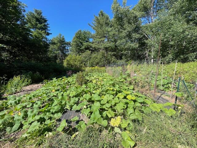 176 Robb Hill Road Alexander, ME 04694 - Photo 59 of 80 IMG_2737