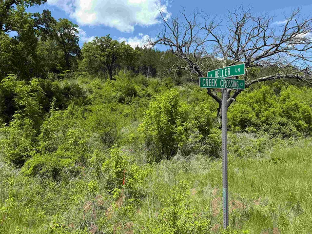 a view of a flower in a yard