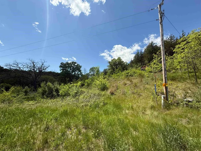 a view of a flower in a garden