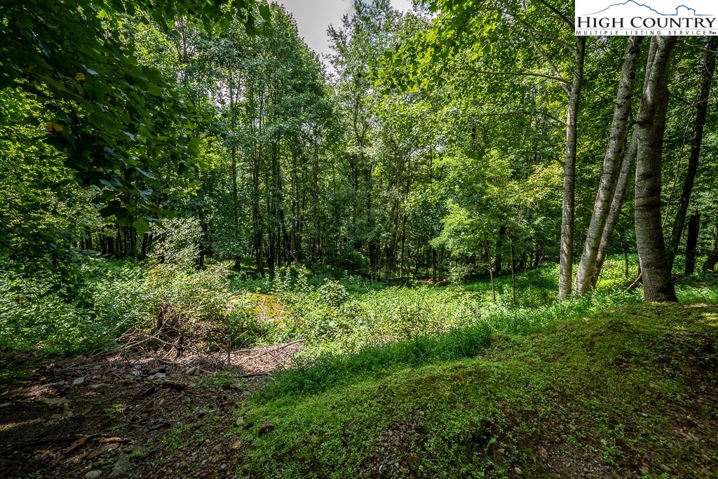 Tbd Lot 7 A Tbd Boone, NC 28607 - Photo 5 of 24 Gallery Image 5