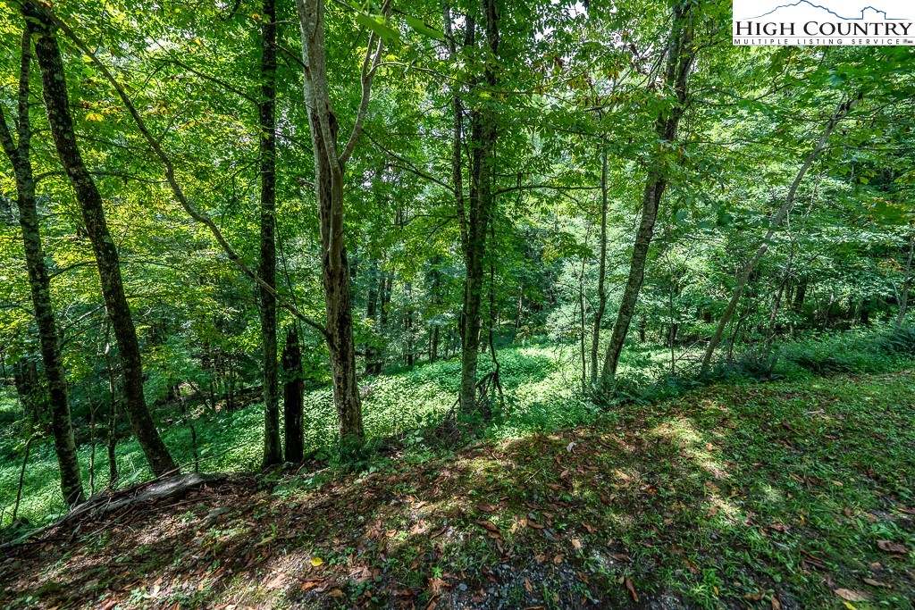Tbd Lot 7 A Tbd Boone, NC 28607 - Photo 7 of 24 Gallery Image 7