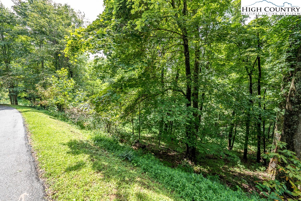 Tbd Lot 7 A Tbd Boone, NC 28607 - Photo 8 of 24 Gallery Image 8