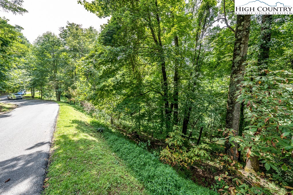 Tbd Lot 7 A Tbd Boone, NC 28607 - Photo 10 of 24 Gallery Image 10
