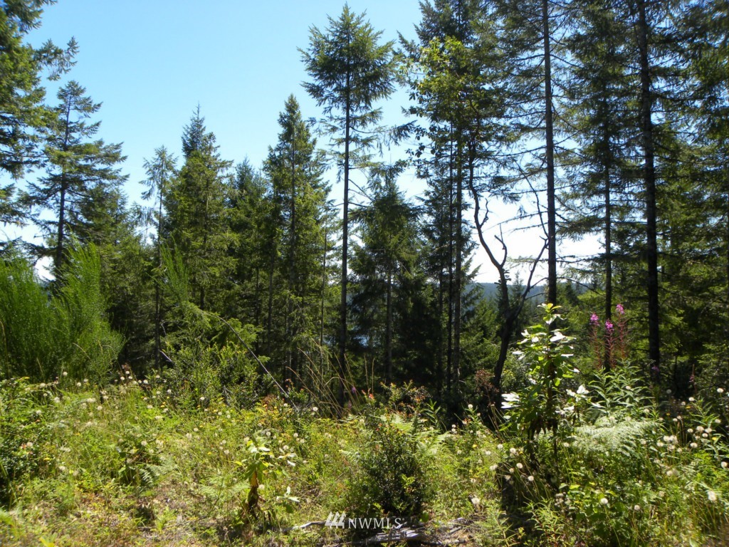 20-tr 20-tr Hurd Road Northeast Belfair, WA 98528 - Photo 14 of 15 Gallery Image 14