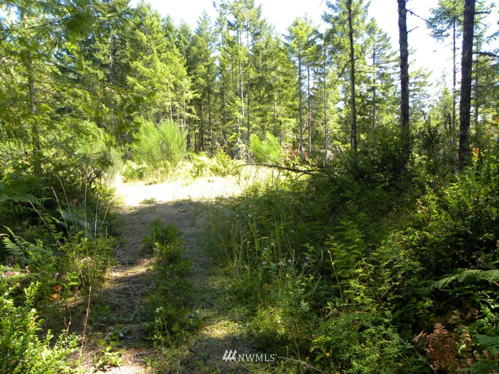 20-tr 20-tr Hurd Road Northeast Belfair, WA 98528 - Photo 15 of 15 Gallery Image 15