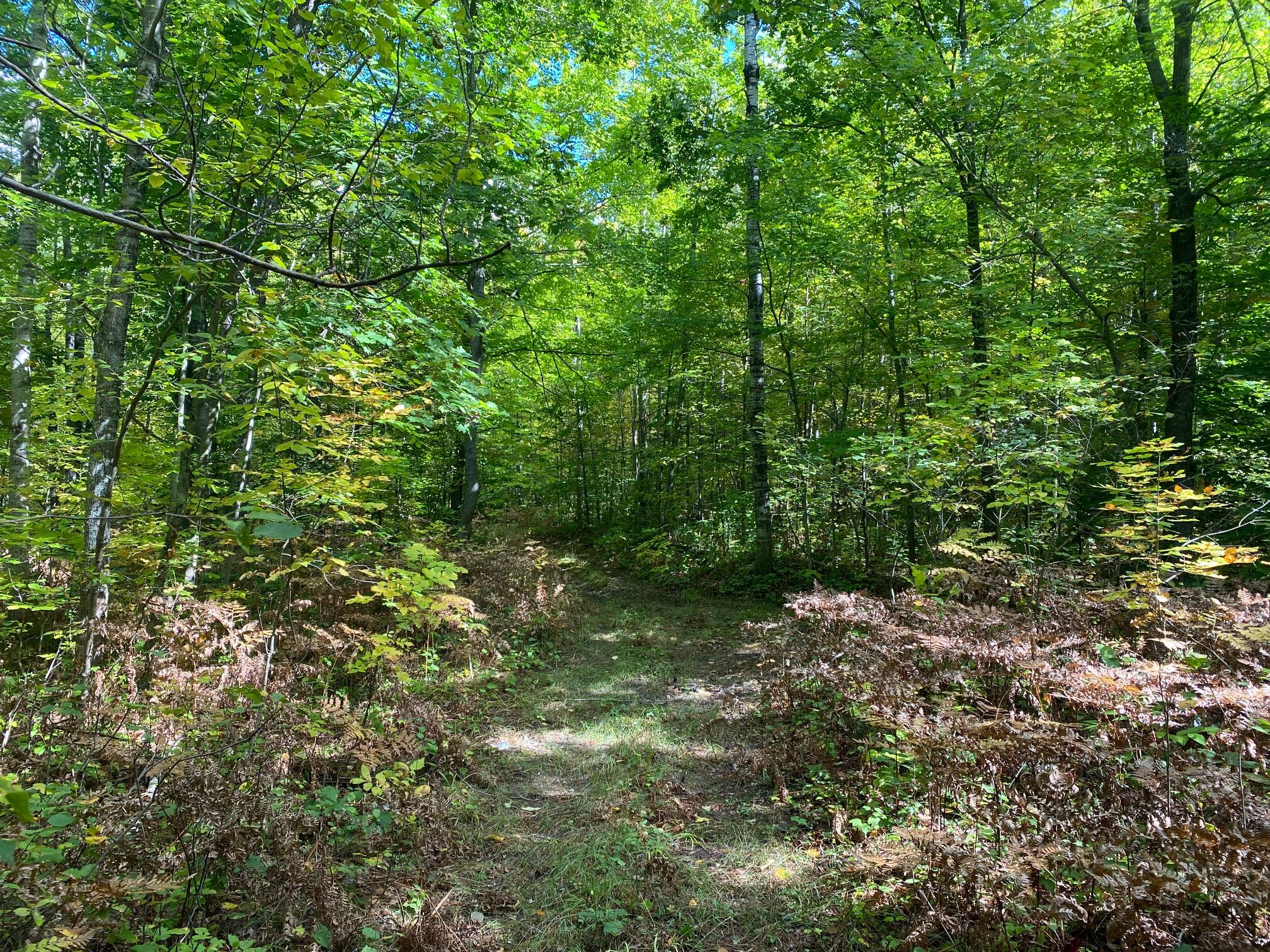 North Abbe Road Fairview, MI 48621 - Photo 10 of 12 Gallery Image 10