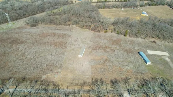 a view of a dry yard covered with trees