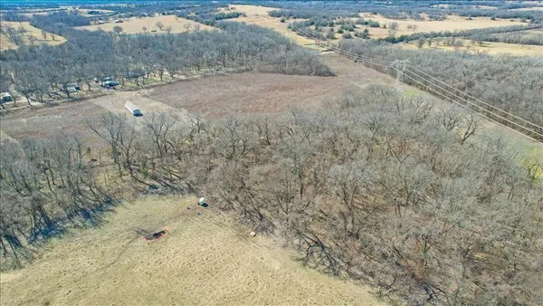 a view of a dry yard with trees