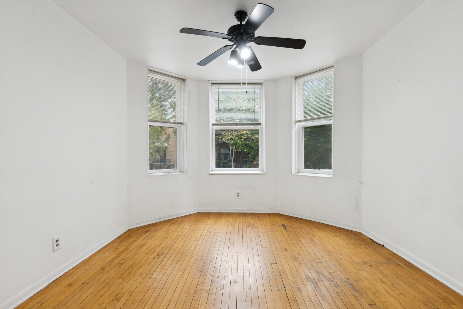 835 South Laflin Street Chicago, IL 60607 - Photo 3 of 33 Gallery Image 3