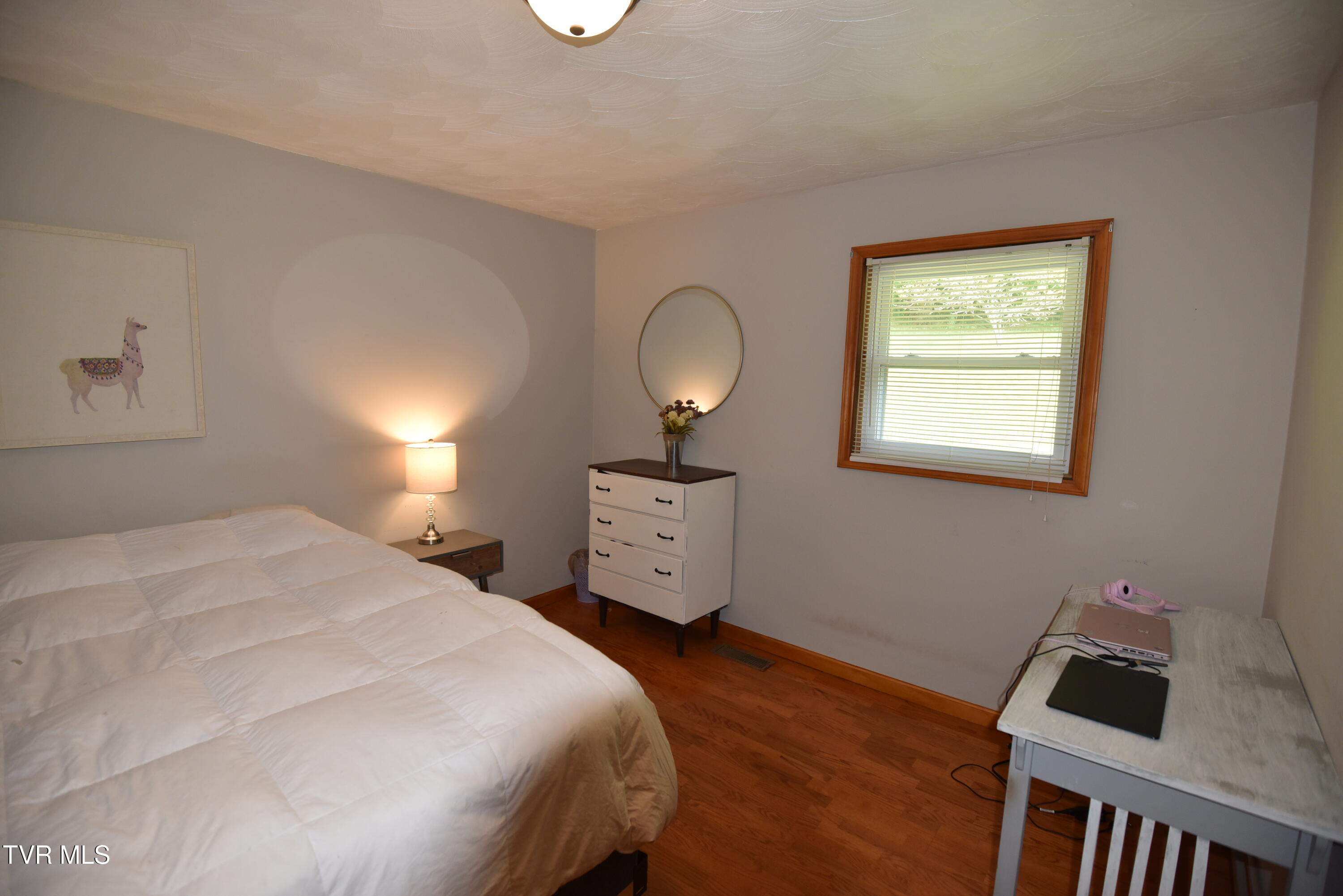 127 Sewanee Road Johnson City, TN 37601 - Photo 21 of 31 DSC_5629