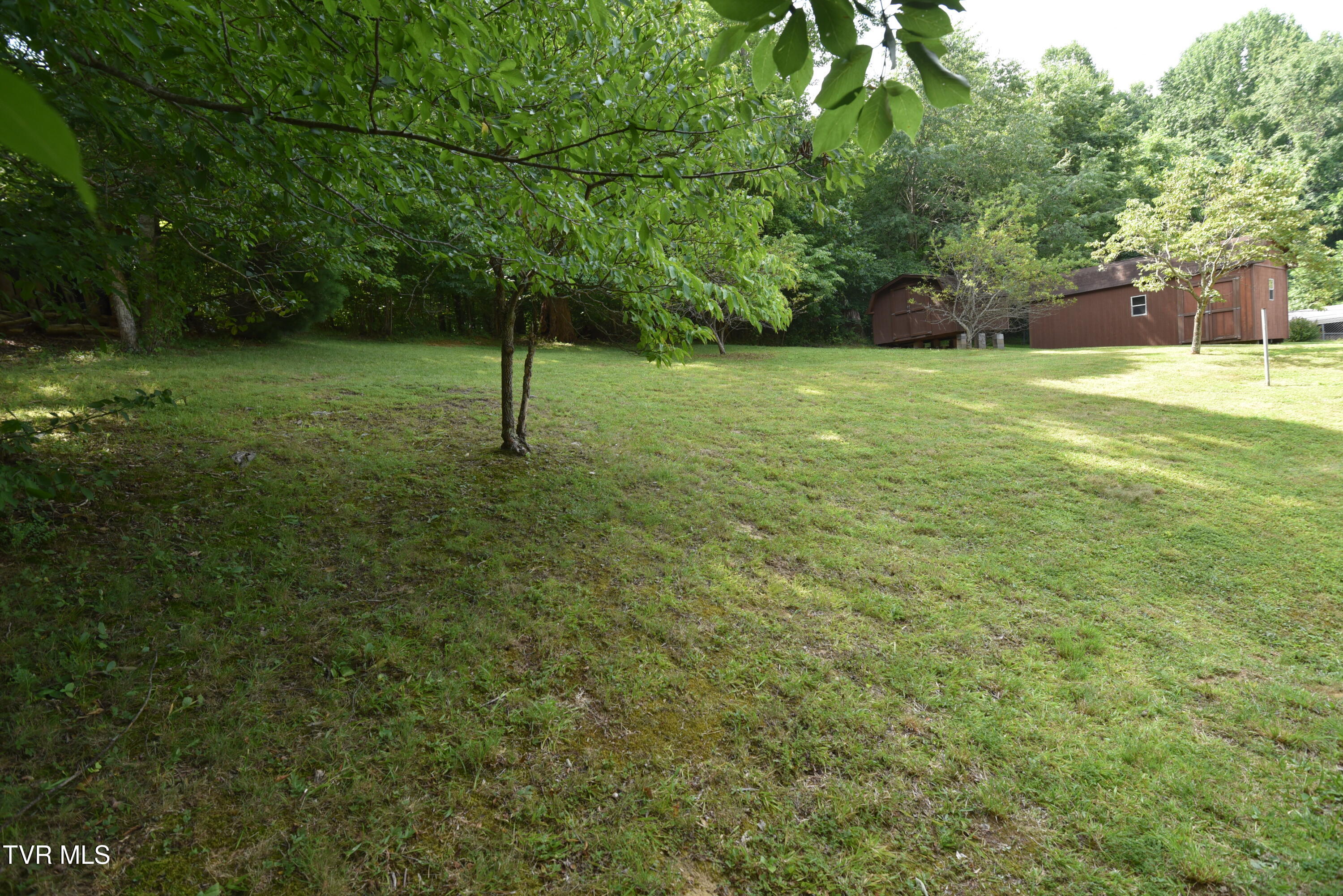 127 Sewanee Road Johnson City, TN 37601 - Photo 4 of 31 DSC_5606