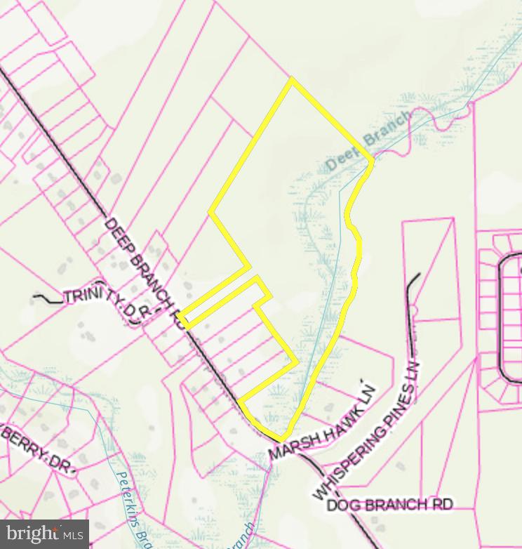 Deep Branch Road Georgetown, DE 19947 - Photo 1 of 1