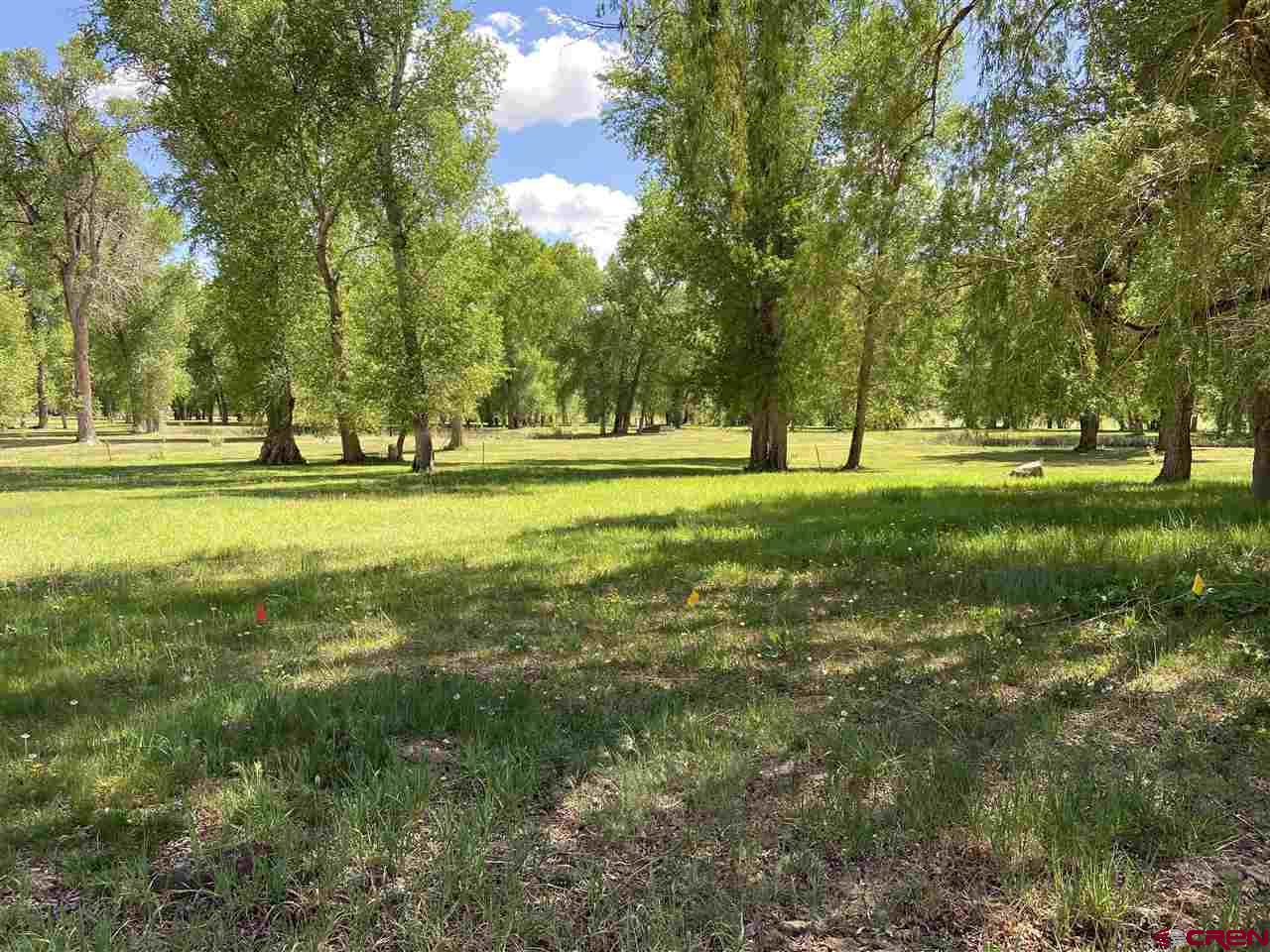673 Hermosa Meadows Road Durango, CO 81301 - Photo 2 of 4 Gallery Image 2