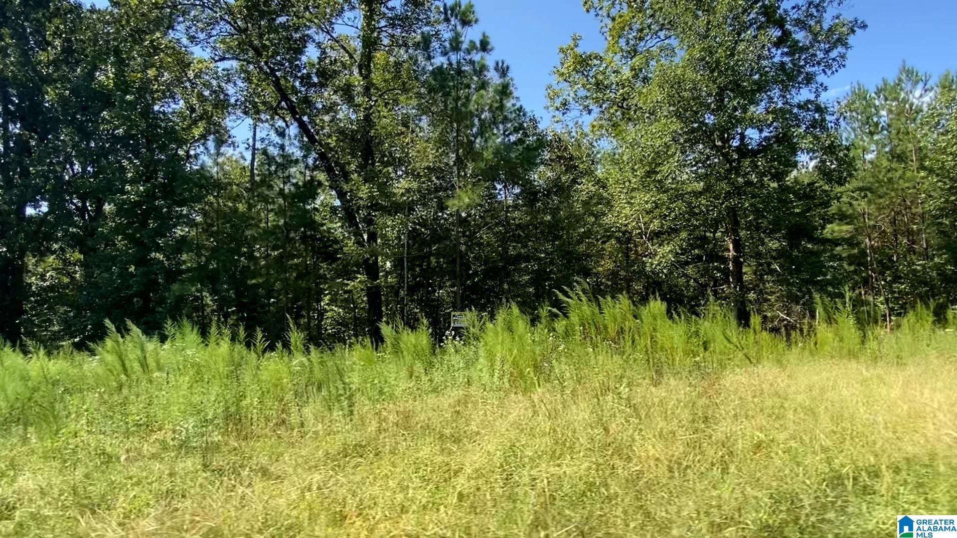 50 Scenic Valley Road, Unit TRACT 3 Springville, AL 35146 - Photo 10 of 10