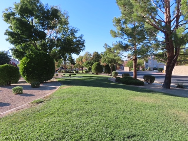 1623 Cave Spring Drive Henderson, NV 89014 - Photo 8 of 16 Manicured green spaces and mature trees define this inviting community park.