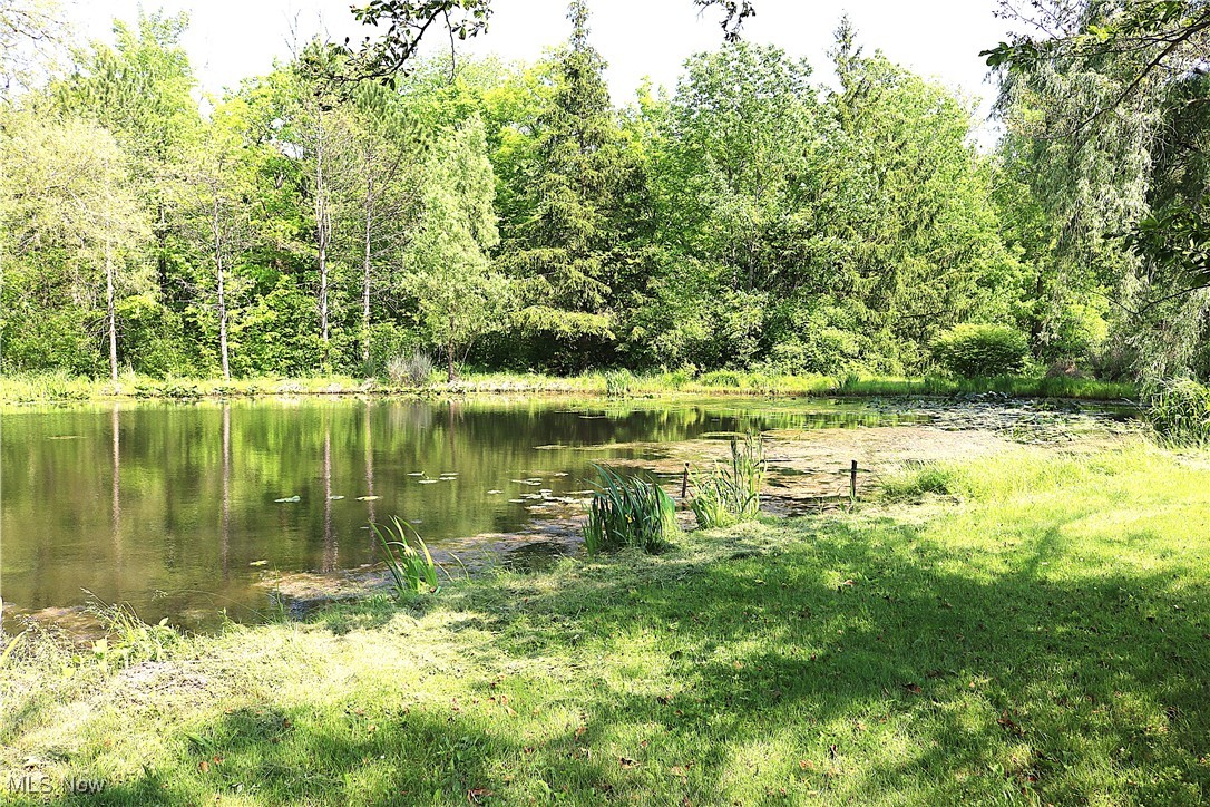 14485 Bass Lake Road Newbury, OH 44065 - Photo 3 of 22 Water view featuring a forest