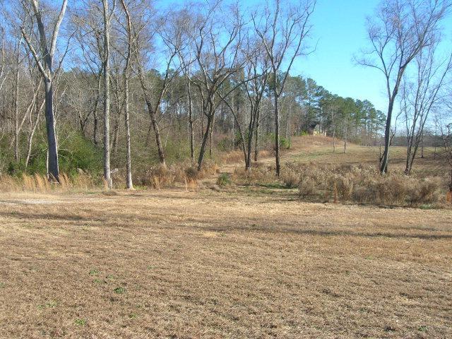4137 Shady Grove Road Carrollton, GA 30116 - Photo 1 of 1