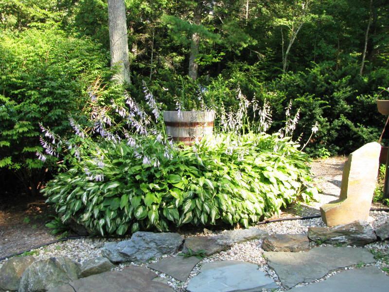46 Lakeside Road New Marlborough, MA 01230 - Photo 31 of 31 Perennial Garden