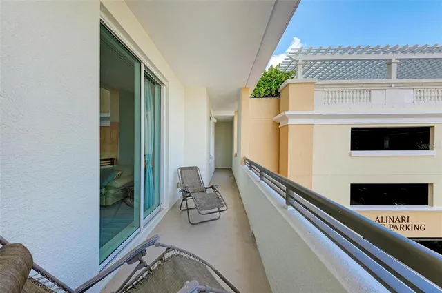 a view of a garden with plants