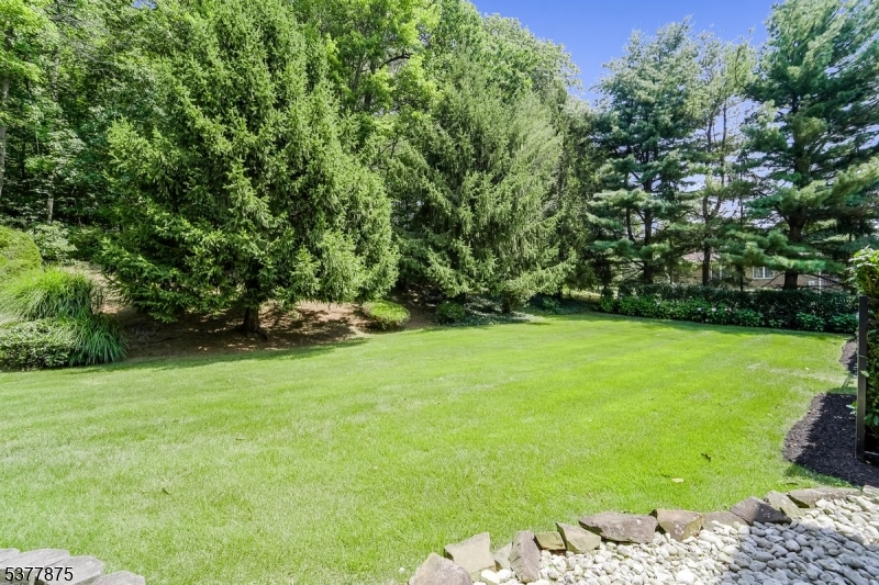 14 Broadway Road Warren, NJ 07059 - Photo 41 of 45 a fire hydrant in the middle of a field