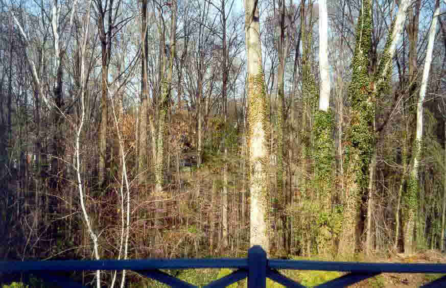 1889 Westview Road Charlottesville, VA 22903 - Photo 1 of 4 a view of balcony with wooden floor and fence