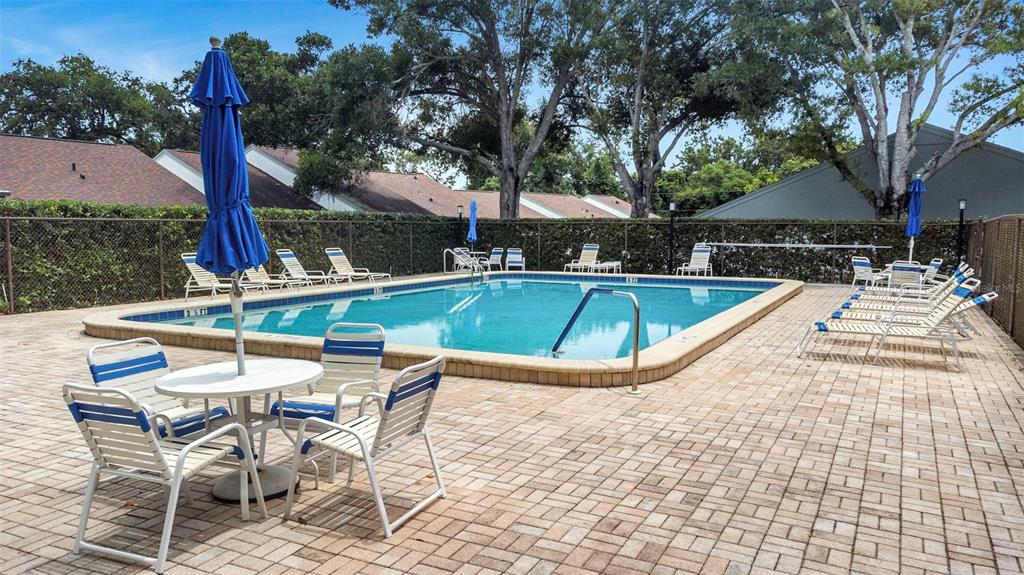 3581 Magnolia Ridge Circle, Unit C Palm Harbor, FL 34684 - Photo 23 of 24