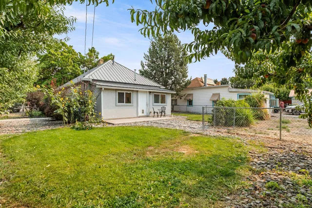 a view of a yard with plants and large trees