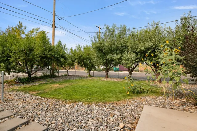 a view of backyard with tree