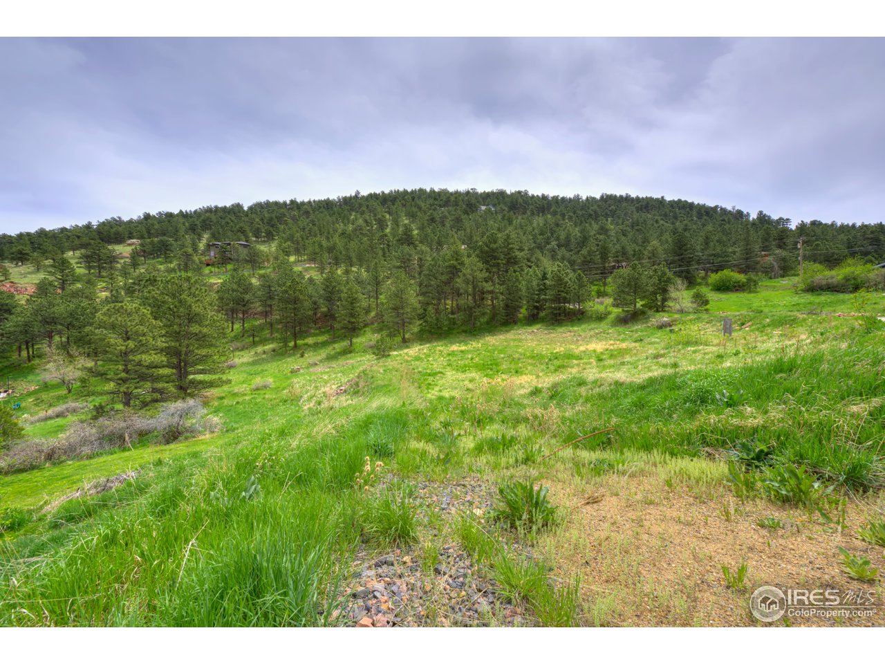 1204 North Cedar Brook Road Boulder, CO 80304 - Photo 1 of 10 Gallery Image 1