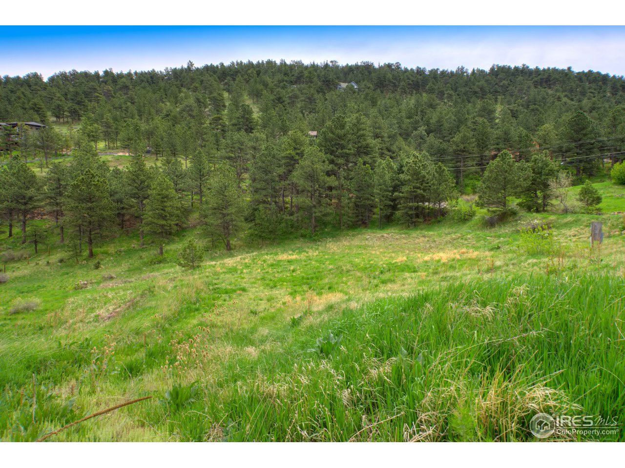 1204 North Cedar Brook Road Boulder, CO 80304 - Photo 3 of 10 Gallery Image 3