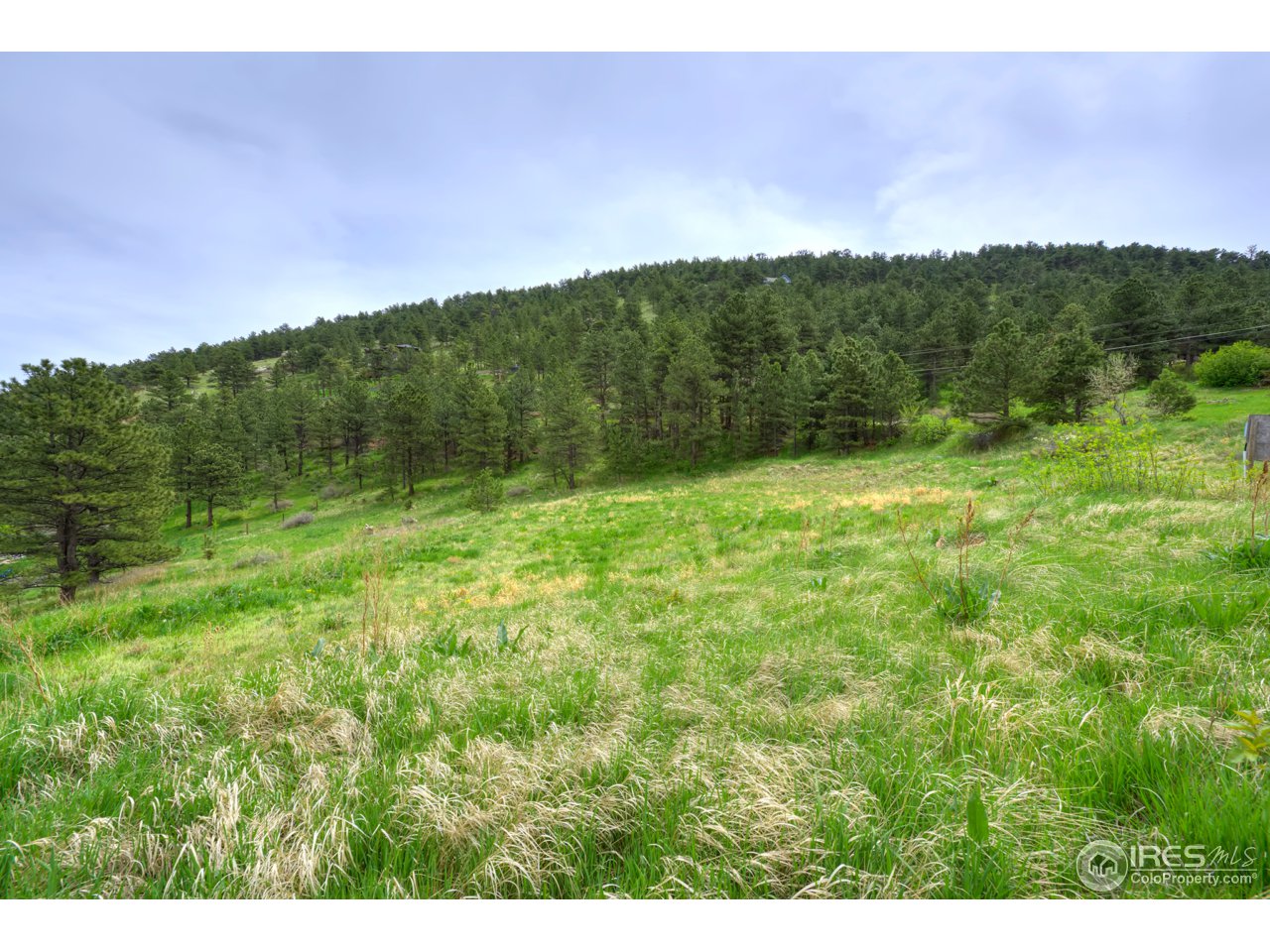 1204 North Cedar Brook Road Boulder, CO 80304 - Photo 10 of 10 Gallery Image 10