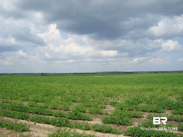 1002 Boros Road Elberta, AL 36530 - Photo 1 of 1
