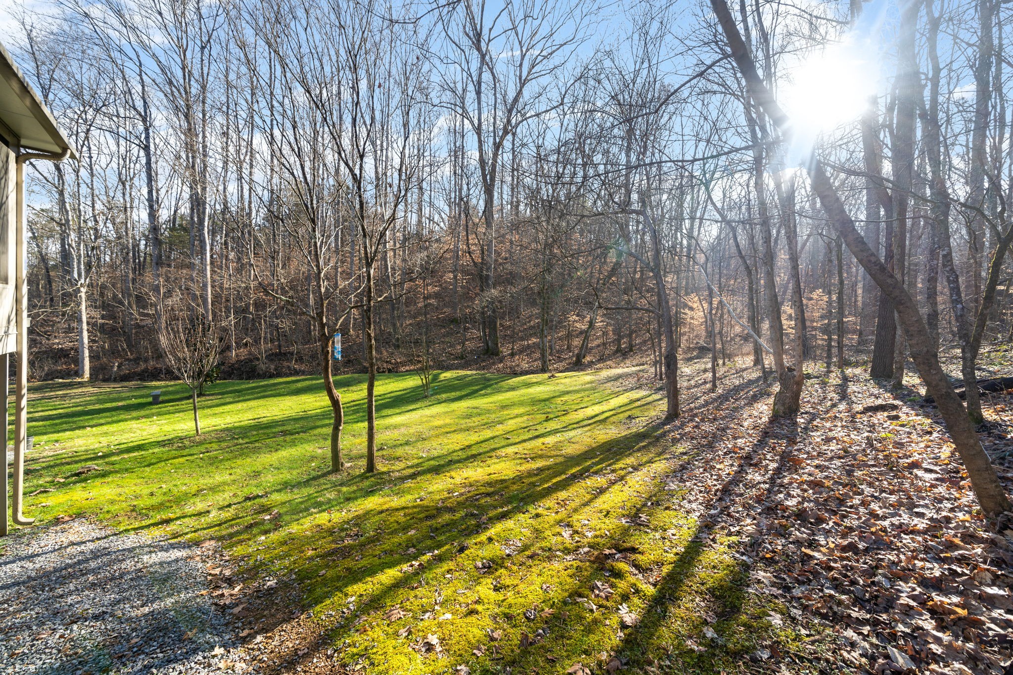 3123 Sweethome Road Chapmansboro, TN 37035 - Photo 40 of 52 Gallery Image 40