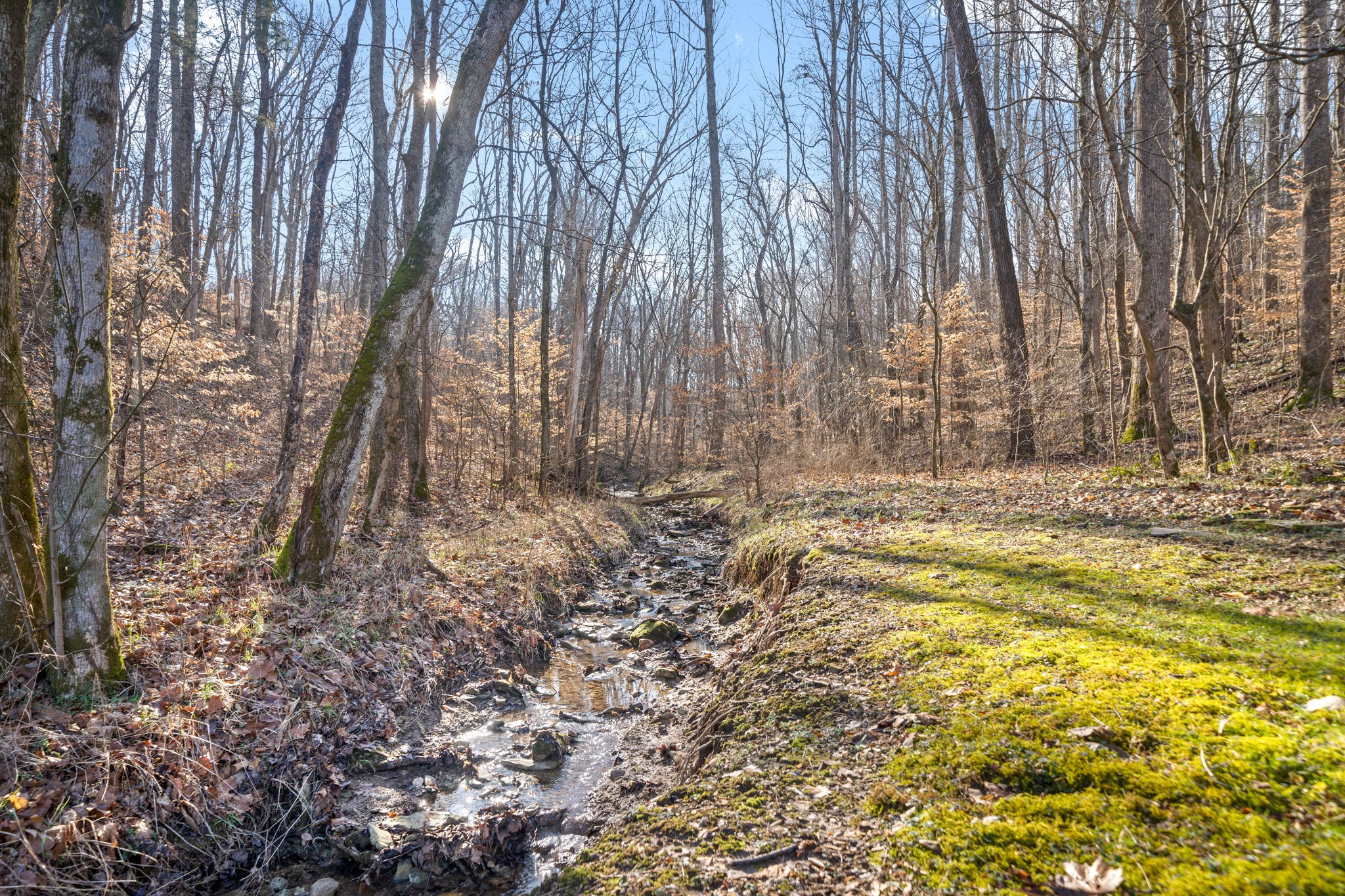 3123 Sweethome Road Chapmansboro, TN 37035 - Photo 41 of 52 Gallery Image 41