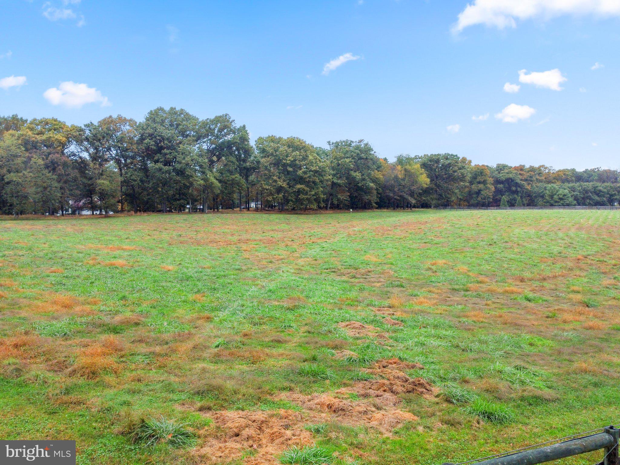 2515 Daisy Road Woodbine, MD 21797 - Photo 16 of 22 Ground View