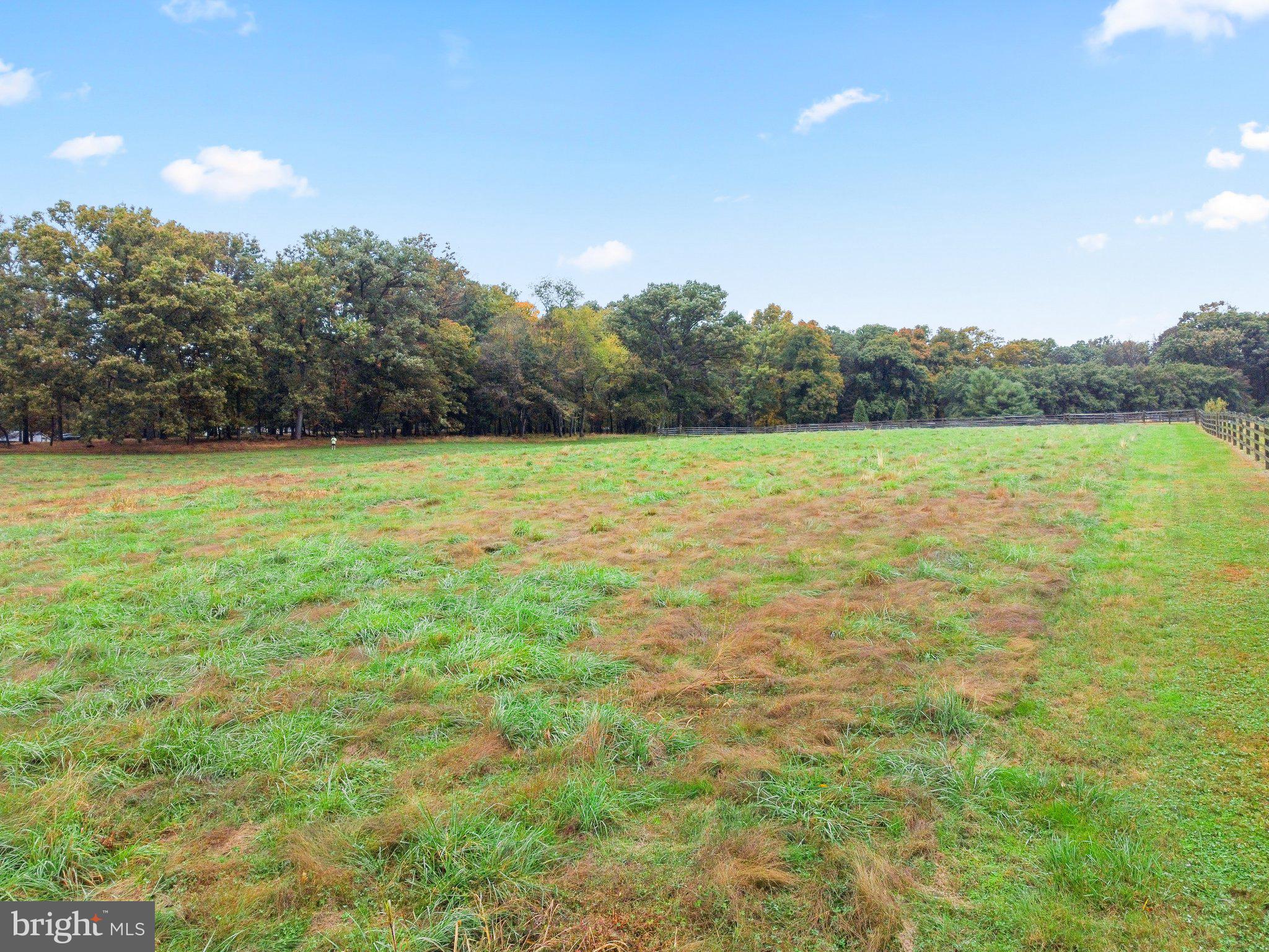 2515 Daisy Road Woodbine, MD 21797 - Photo 19 of 22 Ground View
