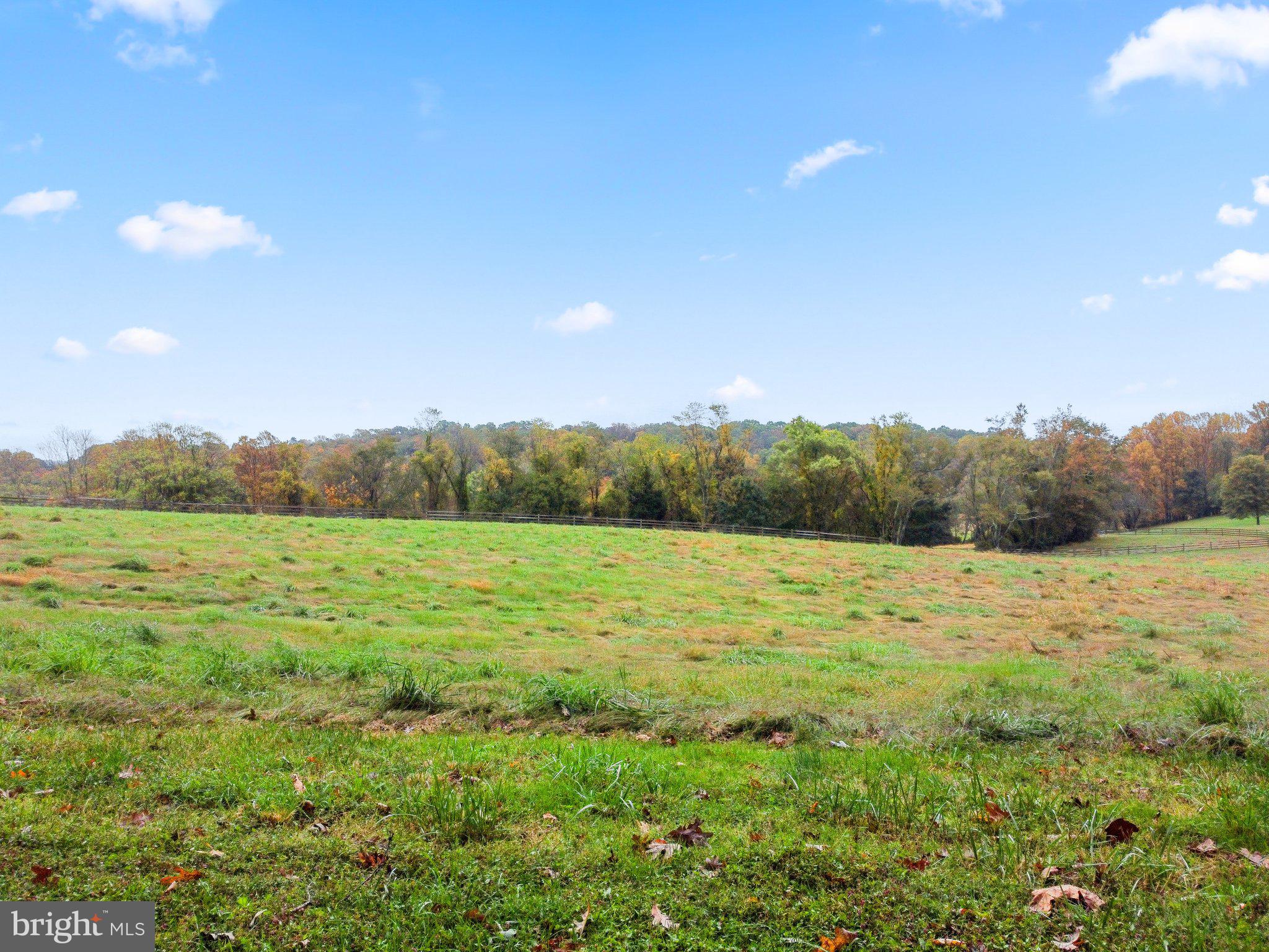 2515 Daisy Road Woodbine, MD 21797 - Photo 21 of 22 Ground View