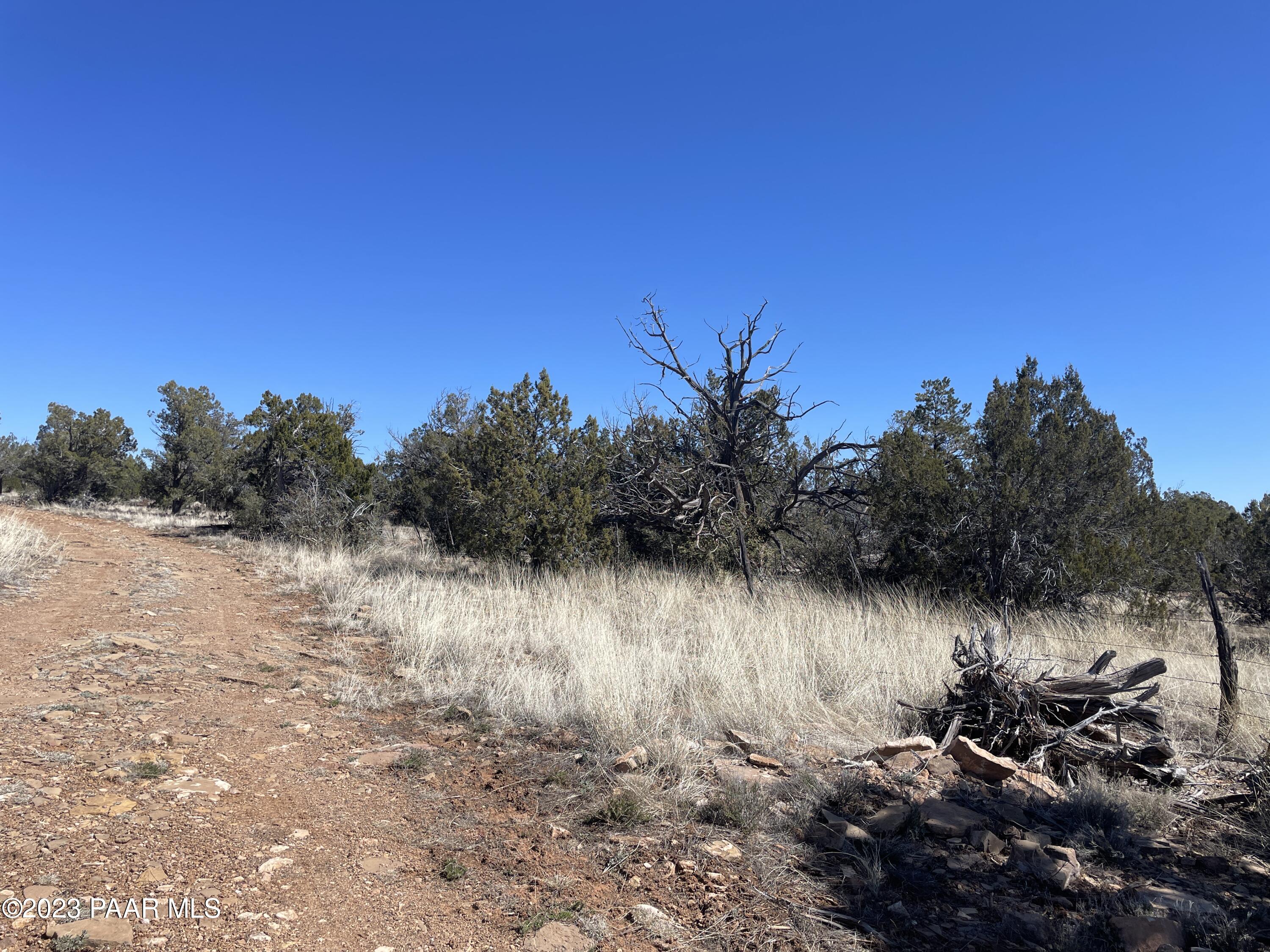 0 Stockmans Road Ash Fork, AZ 86320 - Photo 7 of 19 2023-04-02 10.42.31