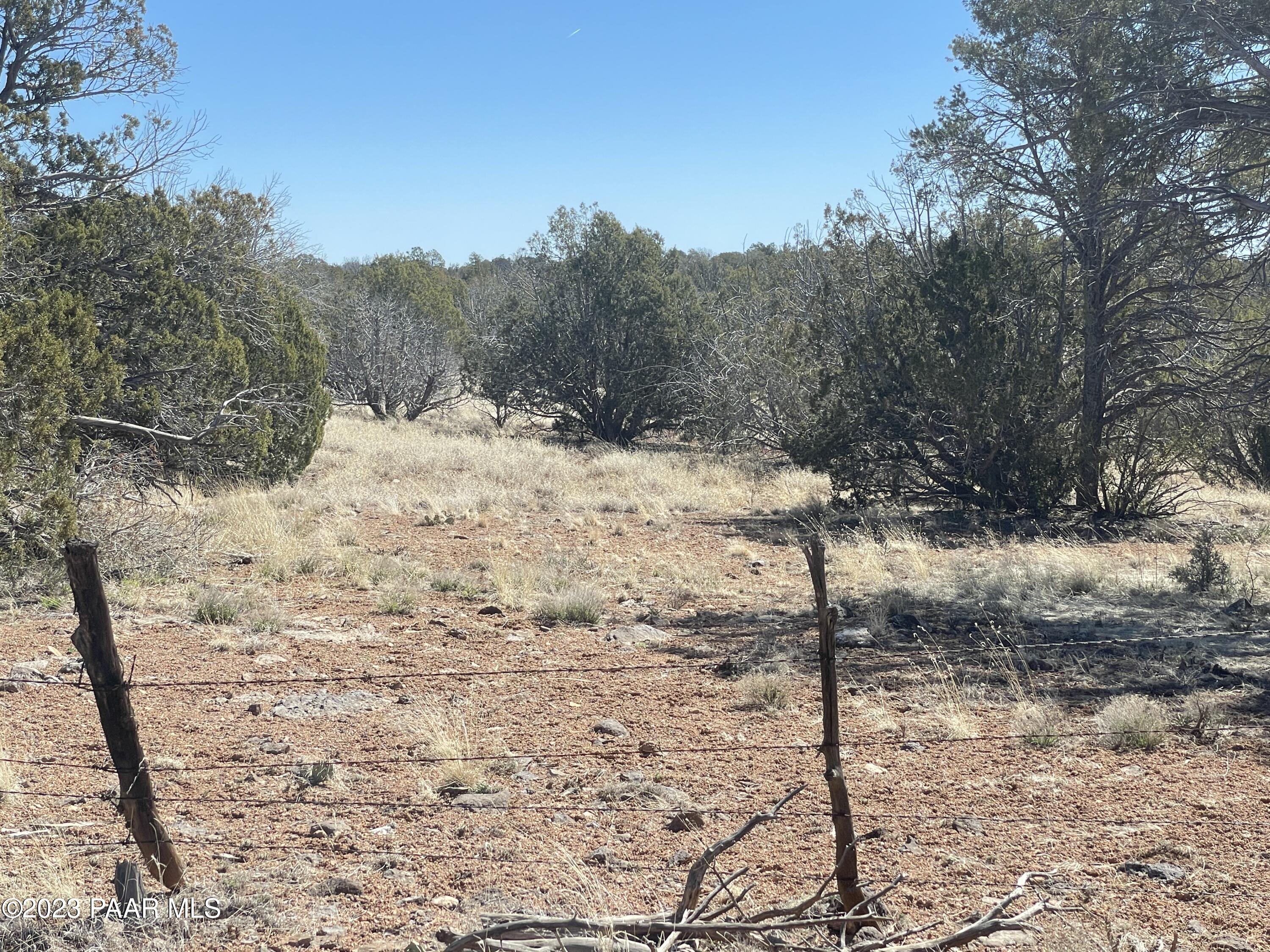 0 Stockmans Road Ash Fork, AZ 86320 - Photo 8 of 19 2023-04-02 10.44.00