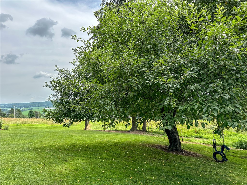 2920 Buffalo Road Orangeville, NY 14167 - Photo 42 of 50