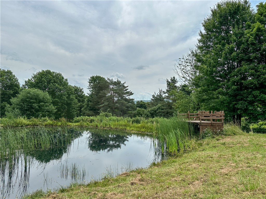 2920 Buffalo Road Orangeville, NY 14167 - Photo 44 of 50